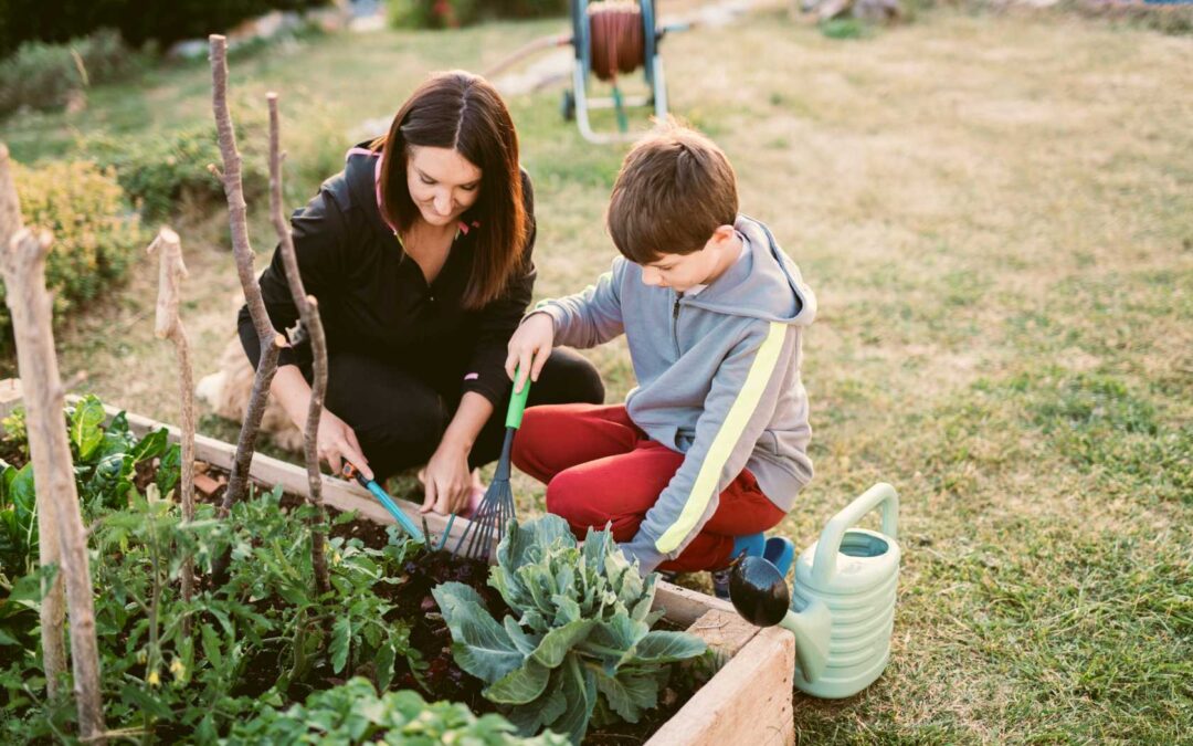 Kto może zostać działkowcem? Prawa i obowiązki dzierżawcy RODosa