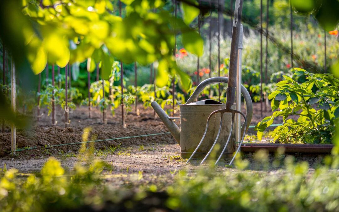 Prace ogrodowe na RODosie