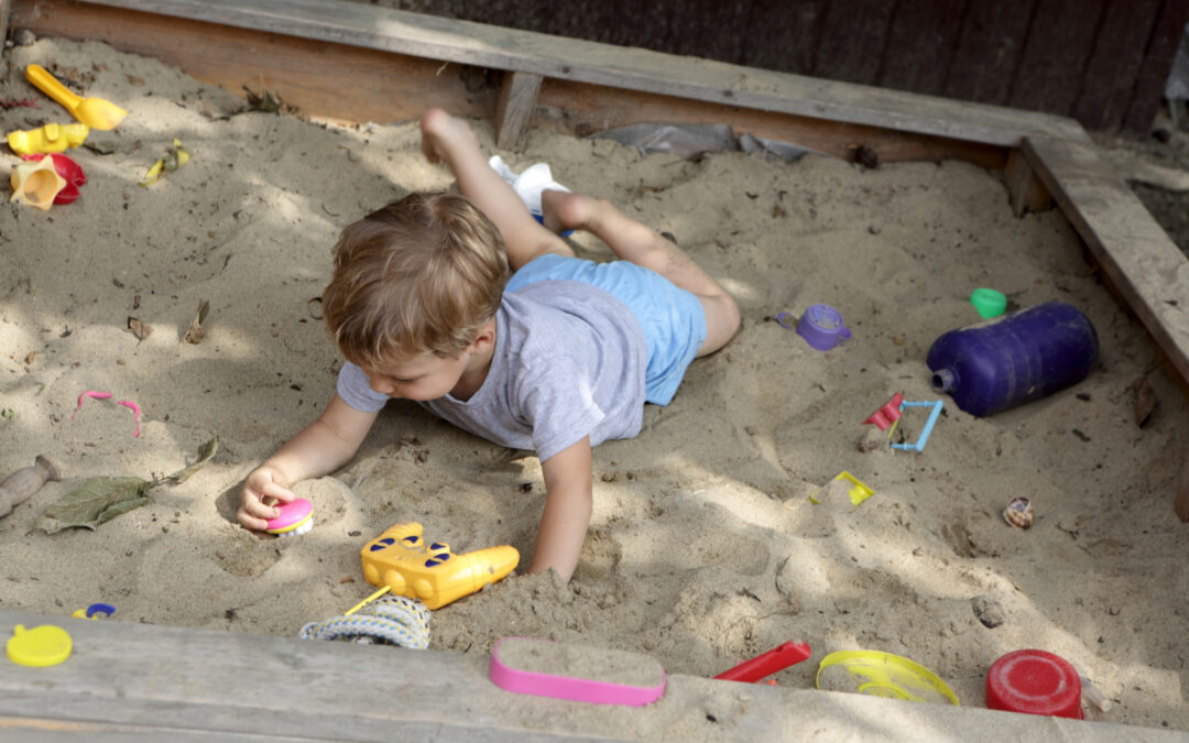 Jak wybrać najlepszą piaskownicę na działkę ROD?